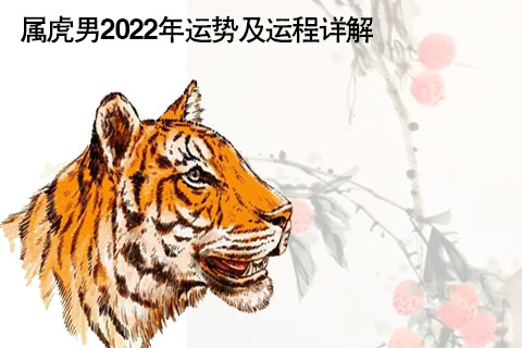 2022年下半年生肖虎运势(生肖虎2022年的运程)
