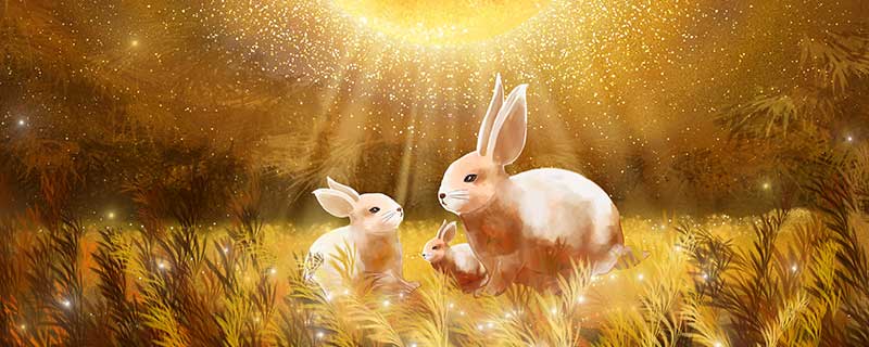 属兔的几点出生最好 属兔哪个时辰出生最好命