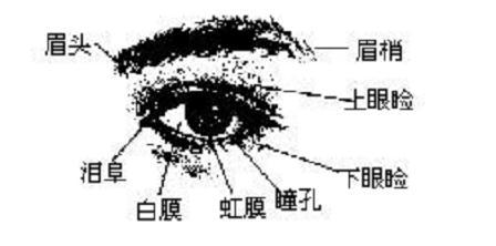 人的面相图解_面相算命图解之面相之十二宫_面相 嘴巴面相图解