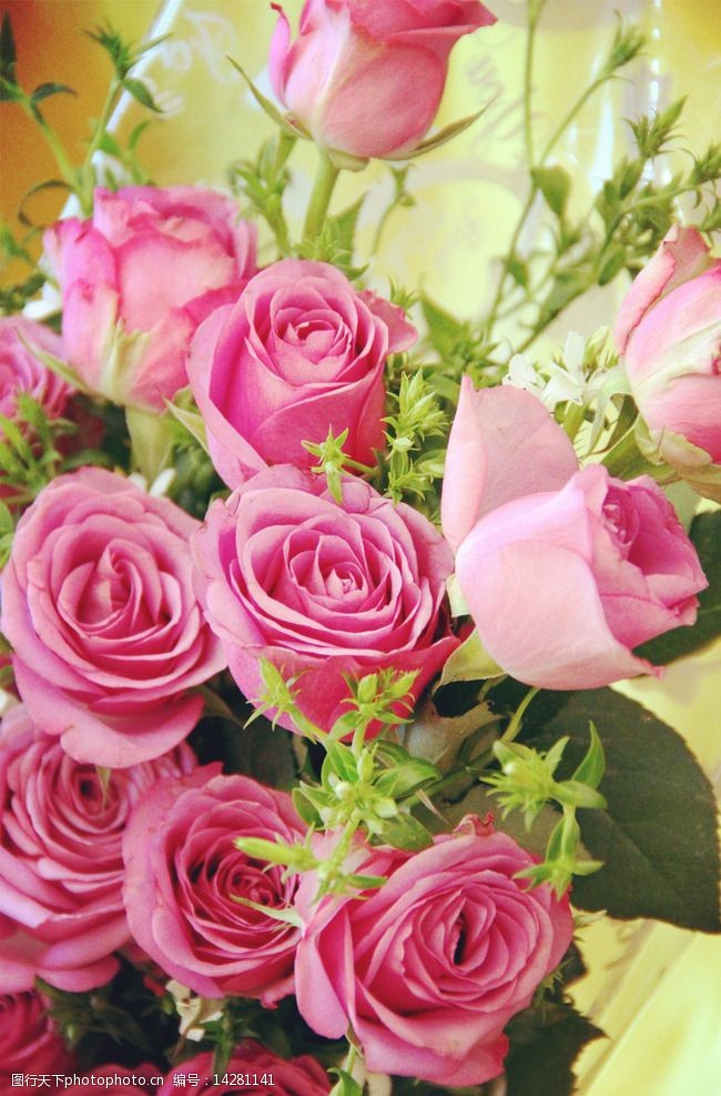 粉玫瑰代表什么？（粉玫瑰的花语是什么？）