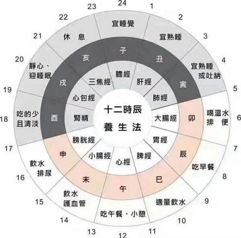 今解黄帝内经第6篇：人体的阴阳运转机制