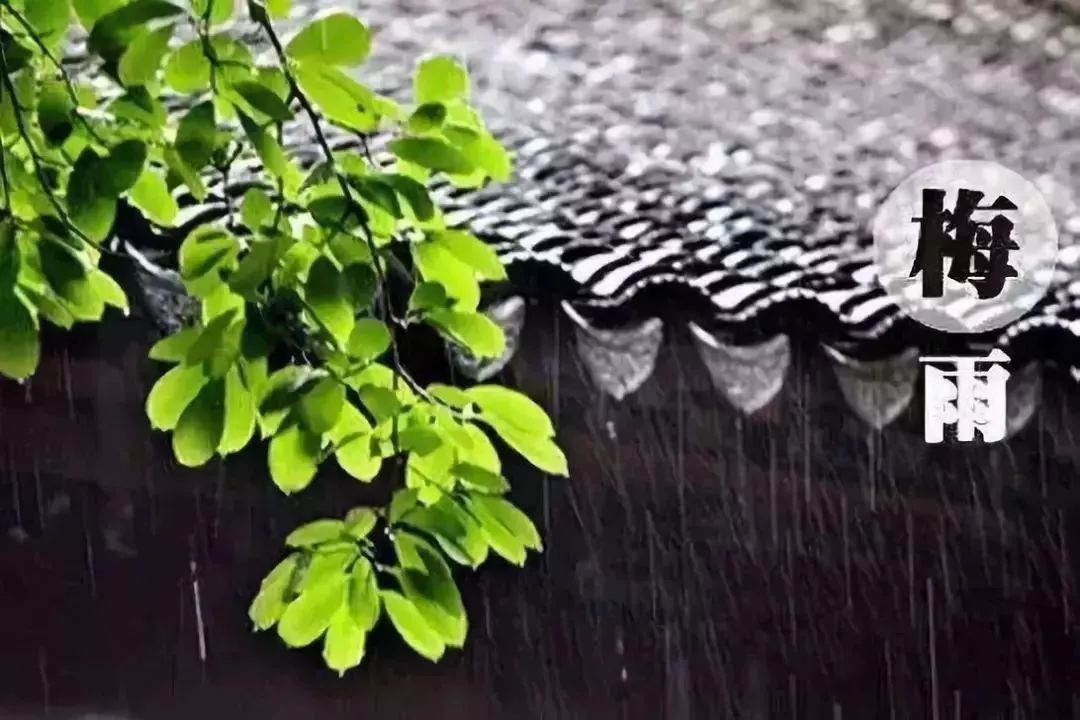 梅雨季节是什么时候 武汉梅雨季节是什么时候