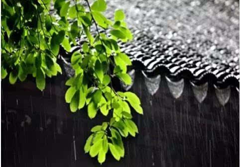 梅雨季节是几月份