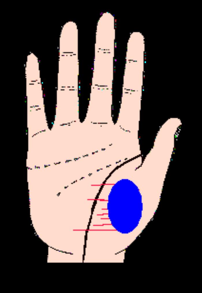 手掌纹很短，生命线很短手相分析