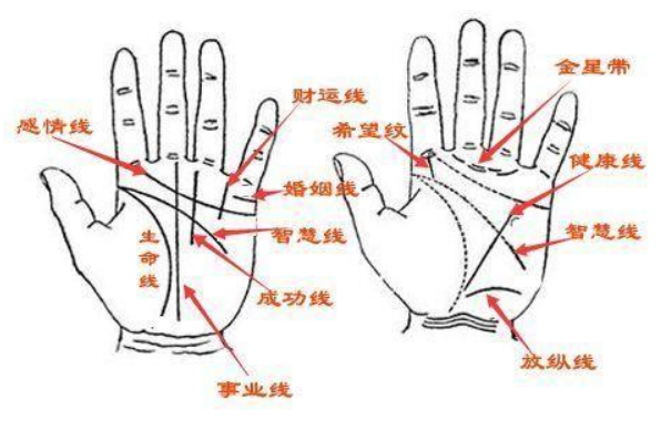 女生婚姻线是哪一条 姻缘线分叉是什么意思