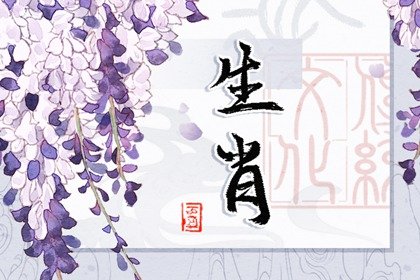 牛马襟裾是什么生肖 生肖虎鸡牛