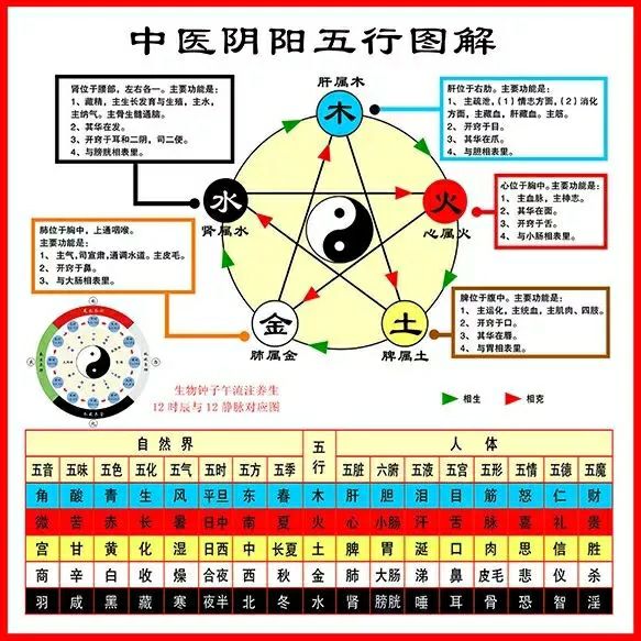 汗牛充栋是什么生肖 生肖马或生肖龙