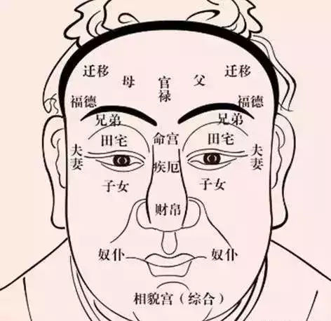 面相术语大全精选（二十五）