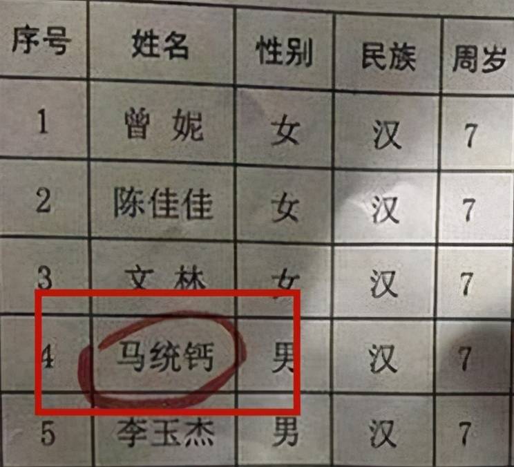 与名字的含义的作文