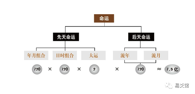 四柱学——八字排盘