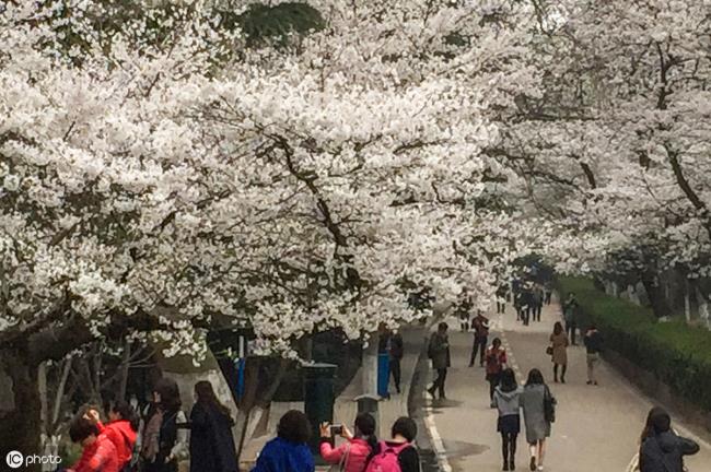 摩羯座男生性格特点（摩羯座男生性格分析）