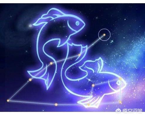 你觉得双鱼座和什么星座比较配？双鱼座的人会喜欢什么星座的人？