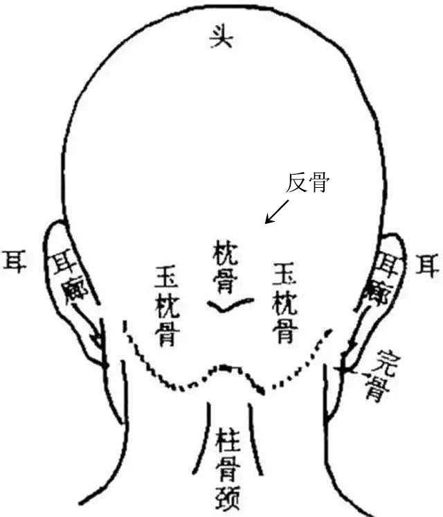 脑后有反骨是什么意思