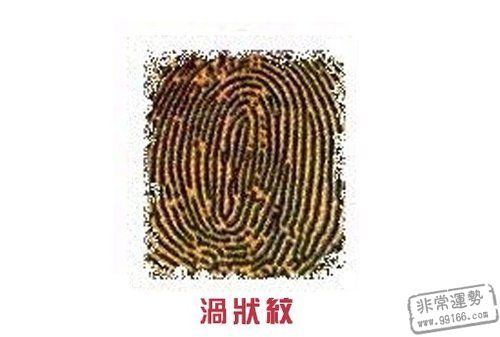 文殊宝缦：手指纹隐藏着人类智能的密码