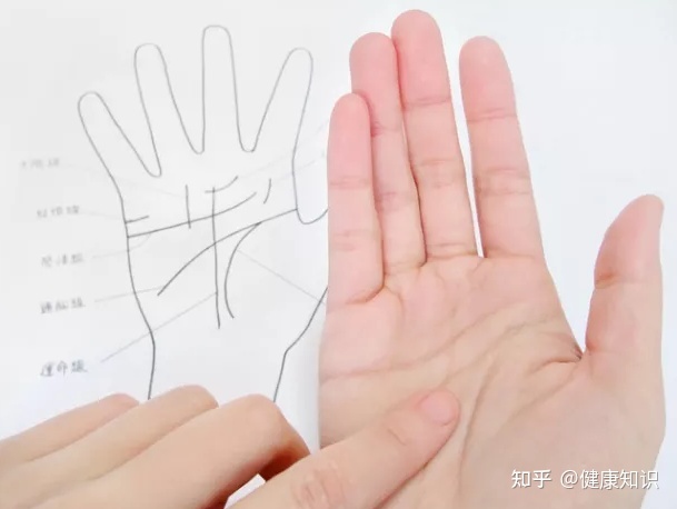 大拇指三节纹手相图解,手纹三条线都代表什么?