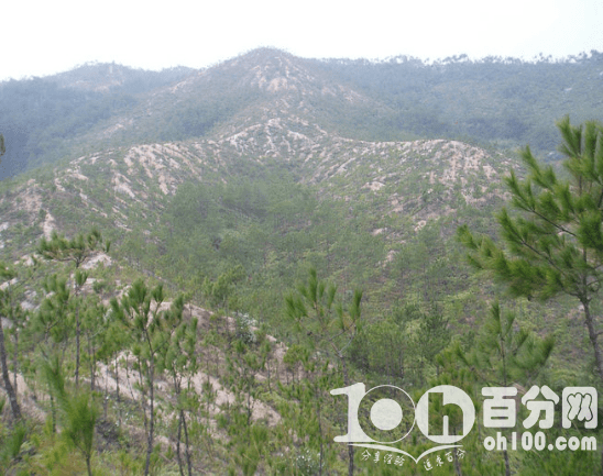 平原坟地出高官的风水案例,千亿富豪祖坟风水