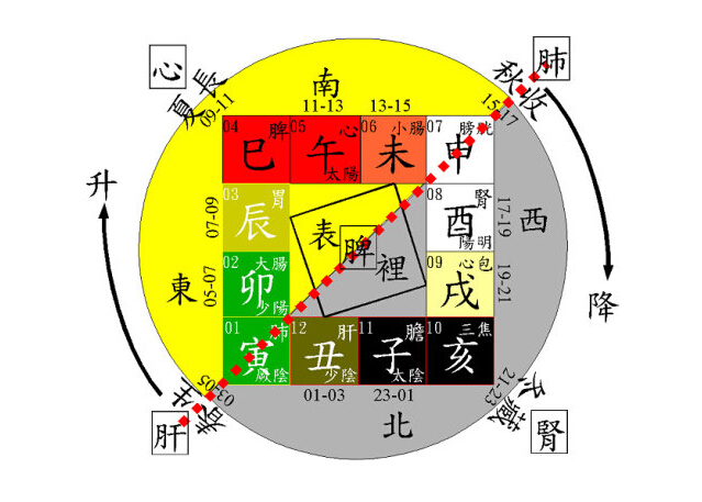 眼皮跳测吉凶: 卯时眼皮跳者