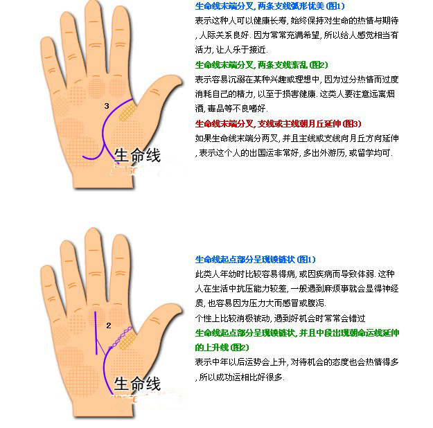 手相：手上的生命线应该怎么看(图)