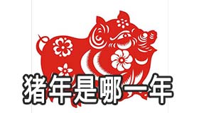 猪年是哪一年 生肖猪怎么计算年份