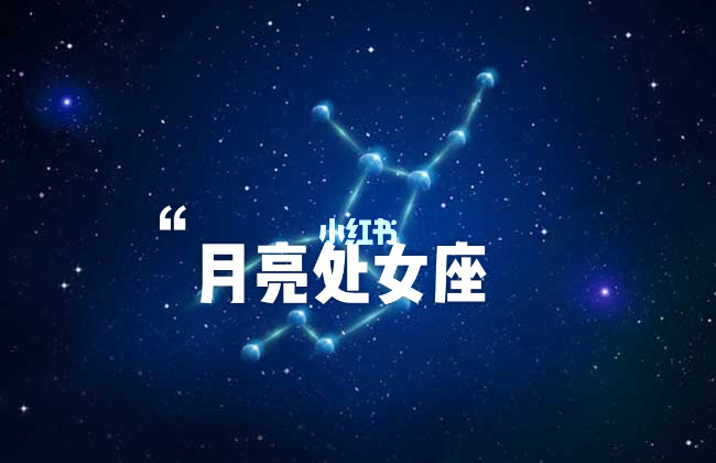 太阳星座和月亮星座：太阳处女座