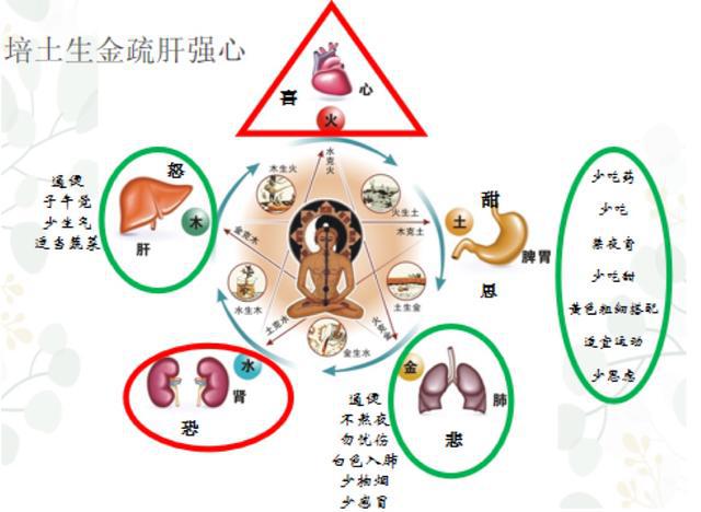 纳音五行医学之解