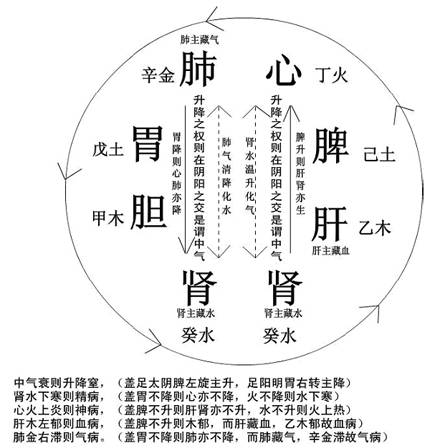 纳音五行医学之解