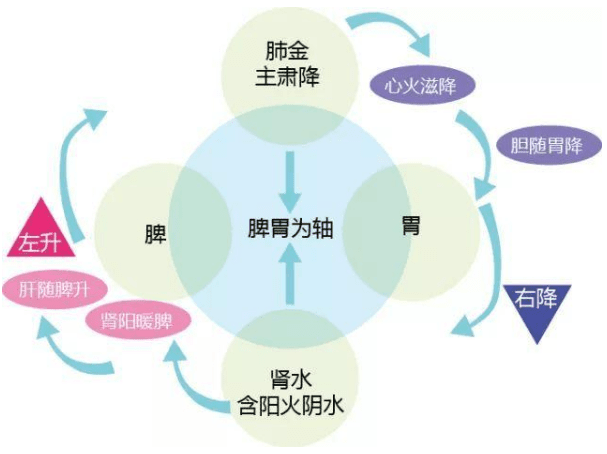 纳音五行医学之解