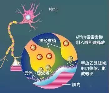 如何去除抬头纹？