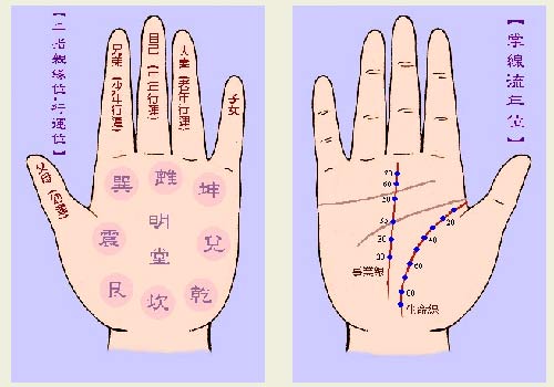 什么是断掌，感情线与智慧线合二为一的掌纹