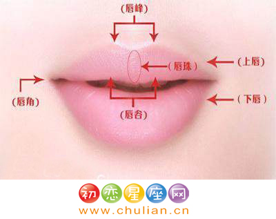 唇珠与没有唇珠的区别 嘴唇面相分析