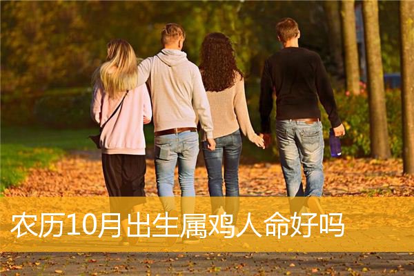 农历10月出生属鸡人命好吗