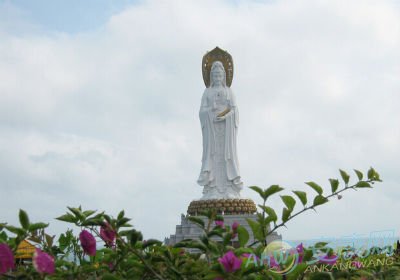 长沙开福寺要预约吗 在长沙开福寺怎么求签