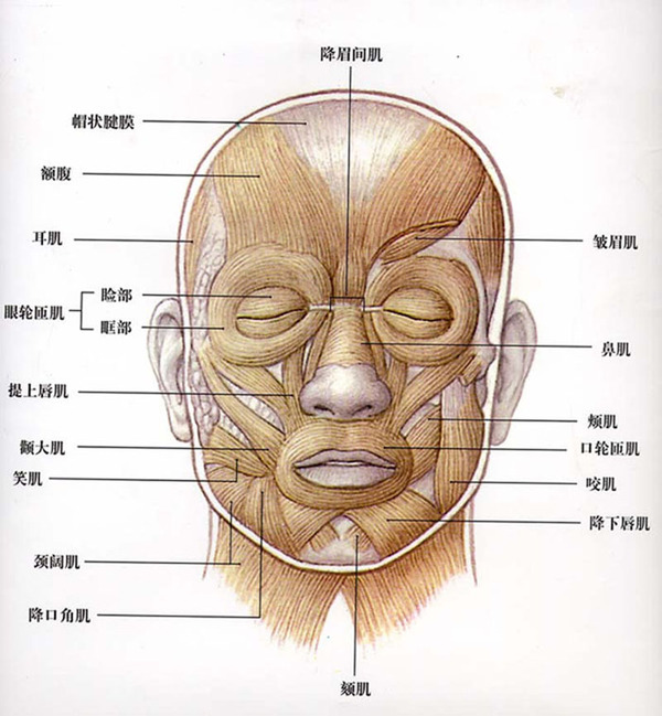 “左眼跳财，右眼跳灾”眼皮这样跳，无关财与灾，是身体在警示！