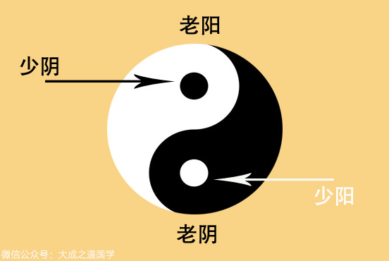 八字的干支有阴阳之分