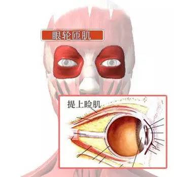 人眼皮跳竟然是因为这个！