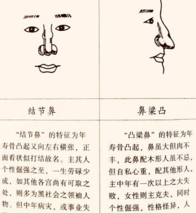 男人的鼻子看相图解(看女人五官面相算命图解)