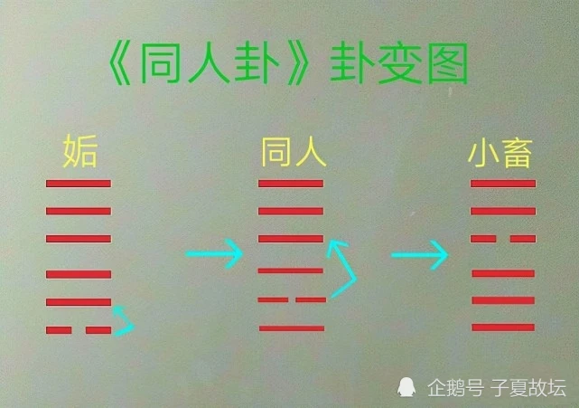 全方位、多角度、深层次地解析“同人卦”之卦图