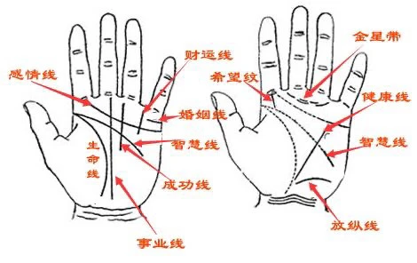 男人手相女字纹特点运势分析