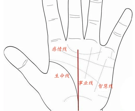 如果手相没有事业线怎么回事 这种手相事业就不好吗