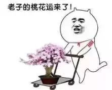 爱情杯具 |“桃花劫”究竟是什么？