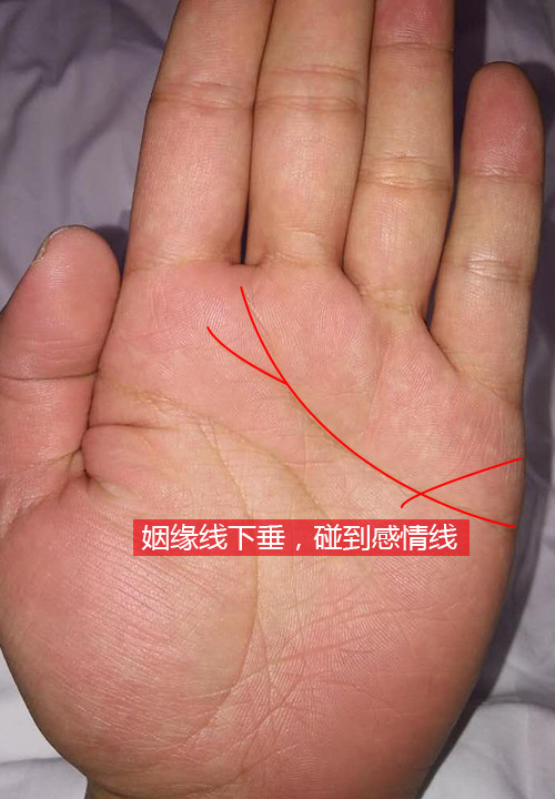 婚姻线看结几回婚