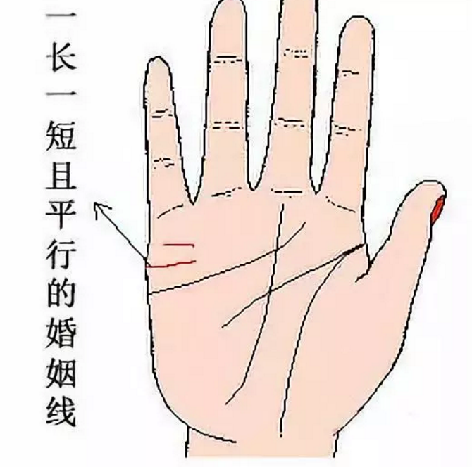 婚姻线分叉图解13图解