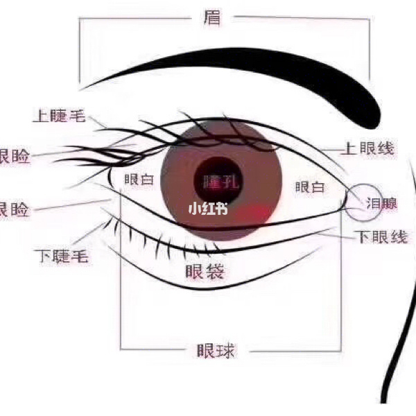 “左眼跳财，右眼跳灾”到底有没有科学依据？