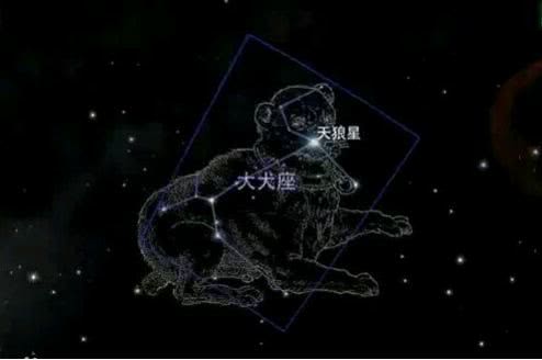 牛郎星属于什么星座 有多大_天狼星属于哪个星座：大犬座