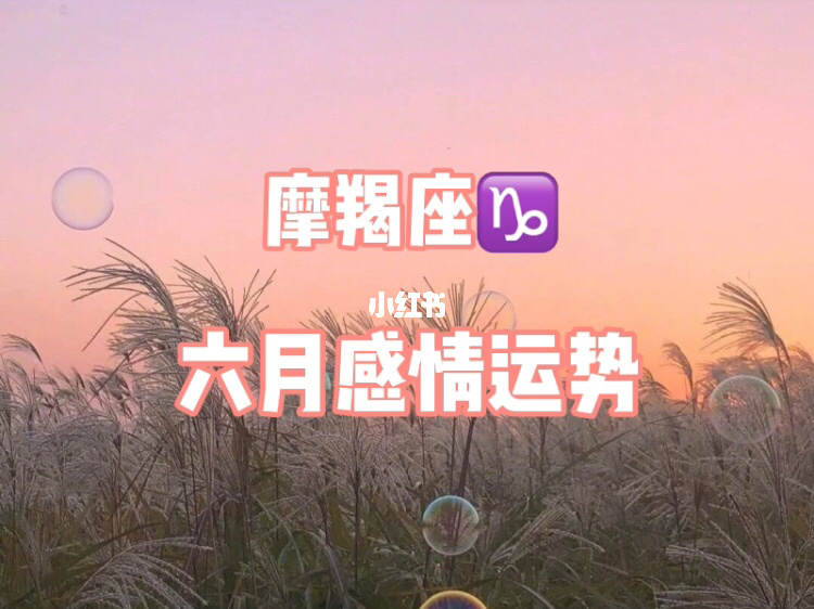 互相忘不了彼此的星座配对 爱情抵不过不合适