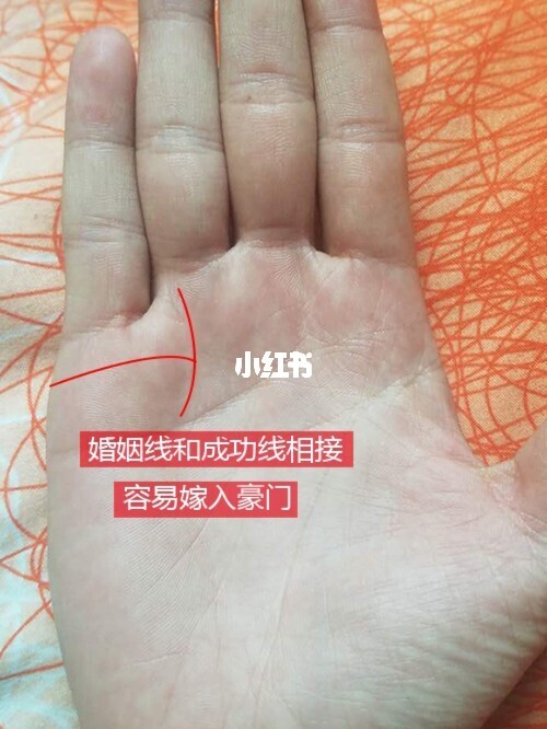 看手相测婚姻图解 看无名指形状分析婚姻关系