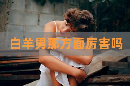 白羊男那方面厉害吗