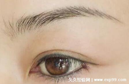 女人十大富贵眉毛图片，龙眉一生与富贵结缘(含一字眉/新月眉)