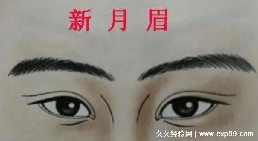 女人十大富贵眉毛图片，龙眉一生与富贵结缘(含一字眉/新月眉)