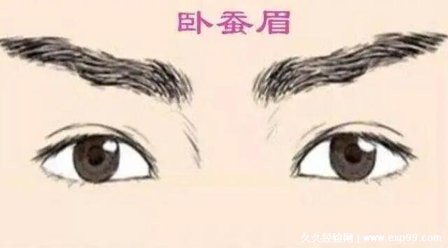 女人十大富贵眉毛图片，龙眉一生与富贵结缘(含一字眉/新月眉)